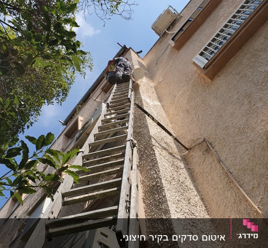 אדם על סולם ליד קיר עם דלי ביד